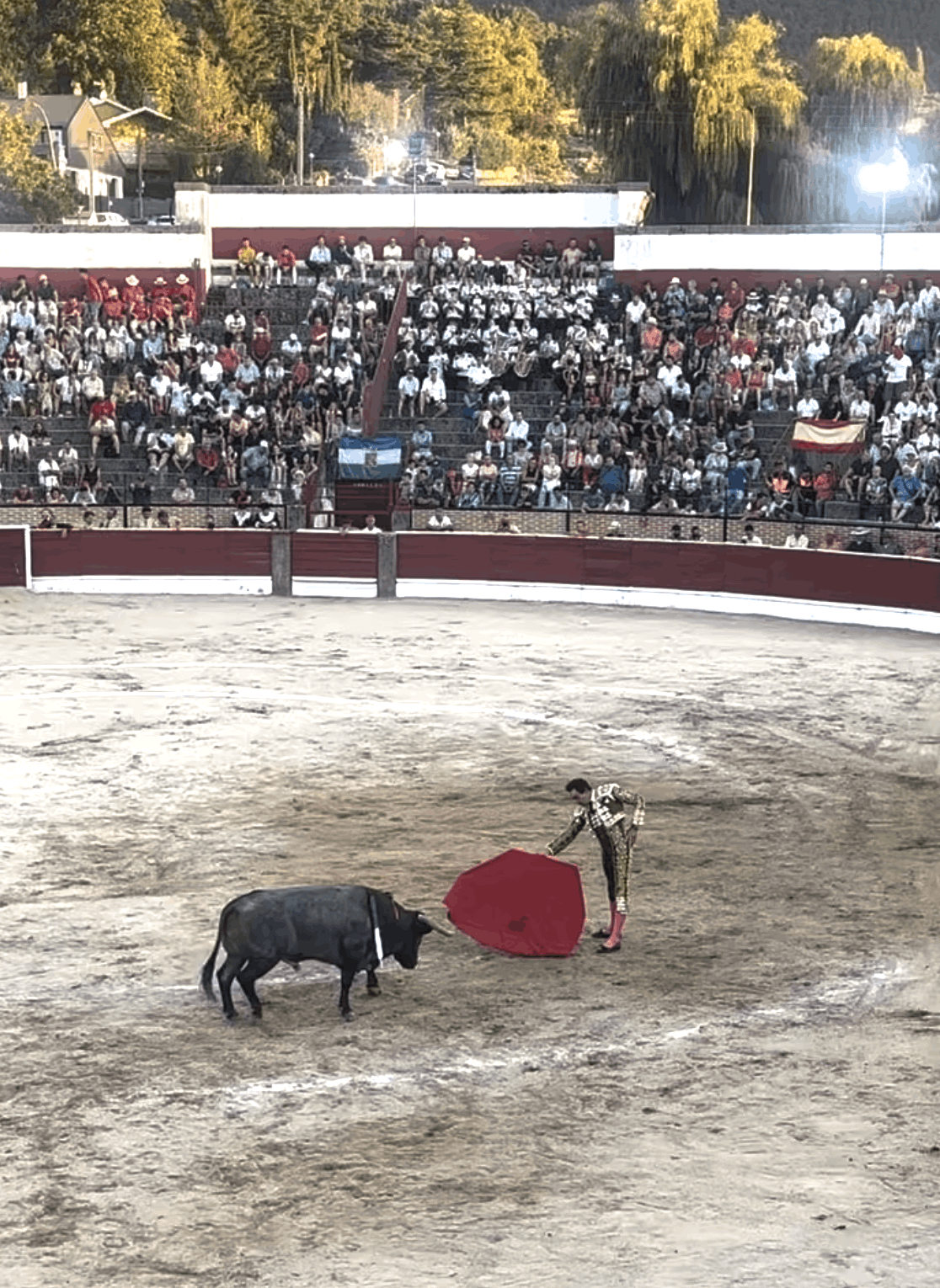 EL ESPINAR, 19 DE AGOSTO ©David Ferrer